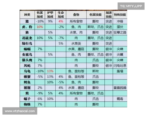 魔兽世界宠物技能栏换装攻略